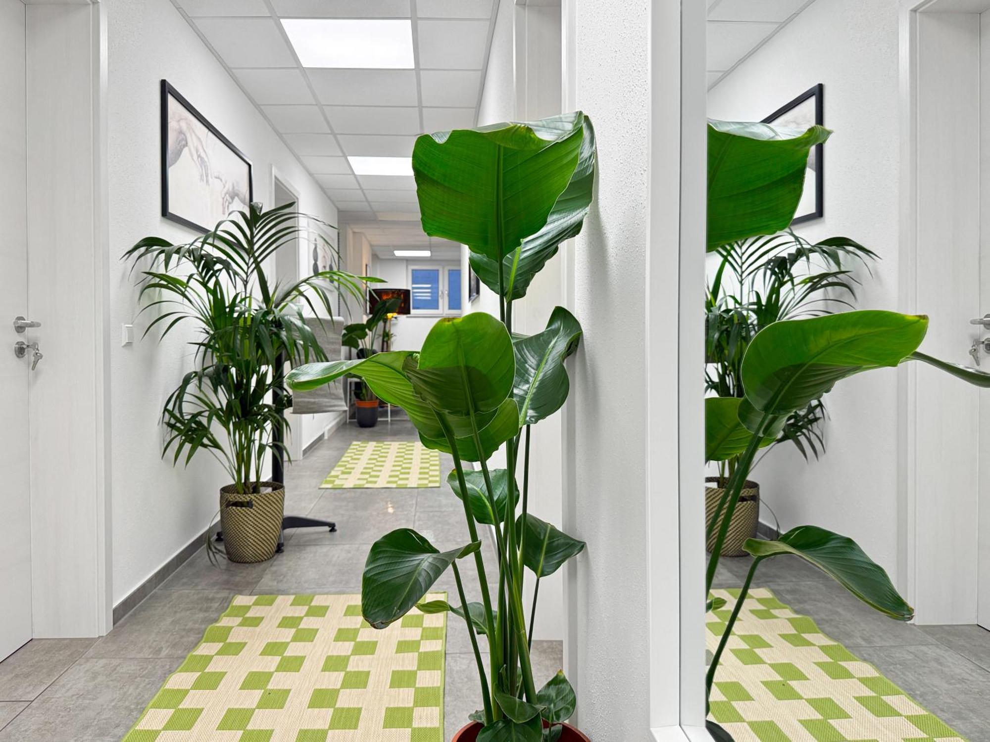 Group Friendly Comfort Central Stuttgart Apartment Kültér fotó
